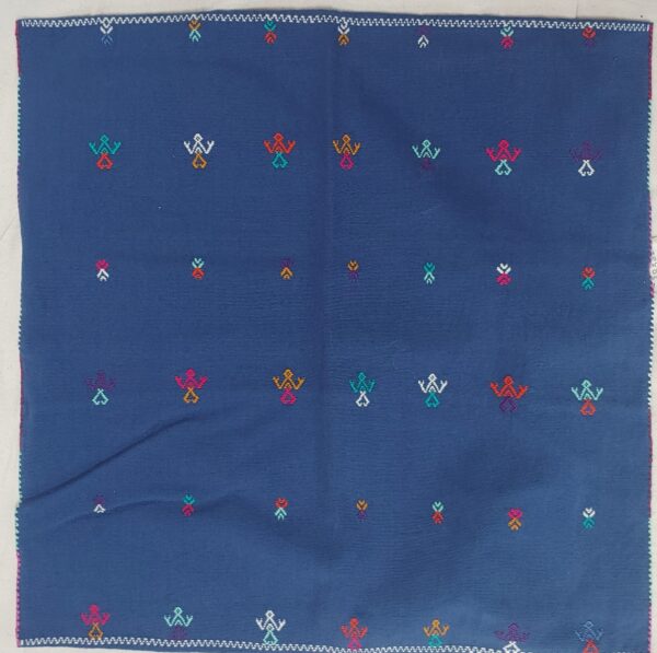 Blue with multi colored figureSingle Pillow Cover